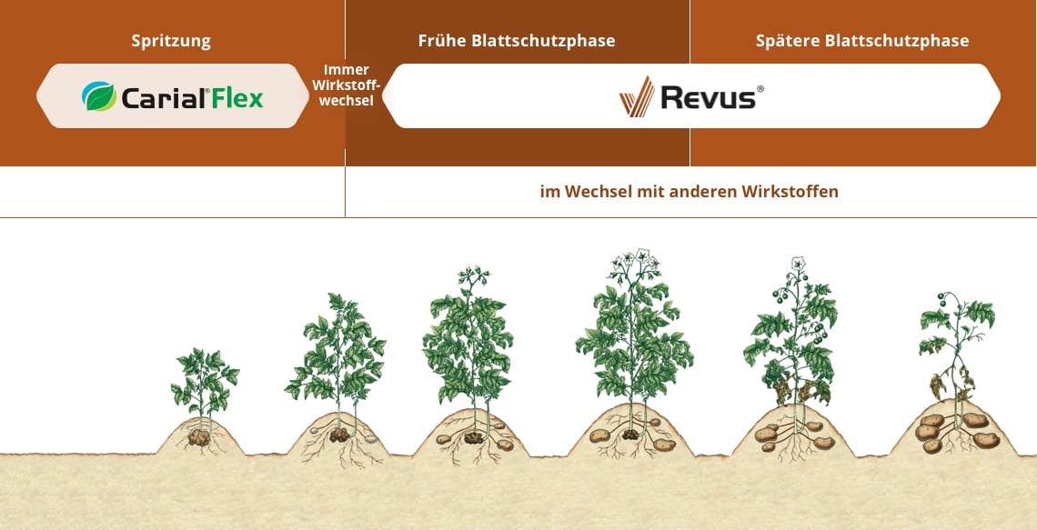 anwendung