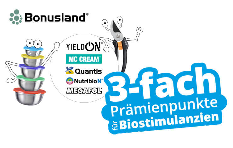 bonusland