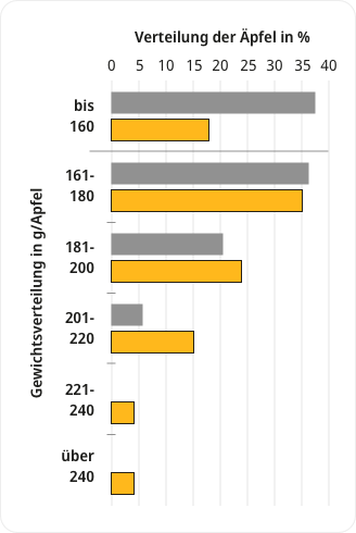 graphic
