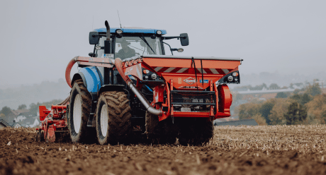 Winterweizen Saatgut | Syngenta