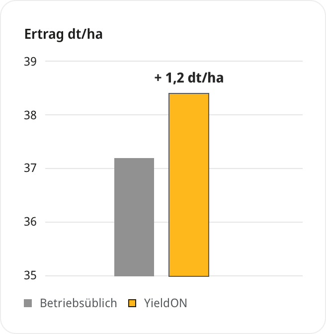 Rapsversuch