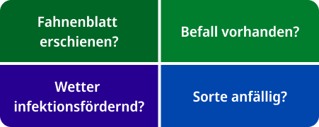 grid-image