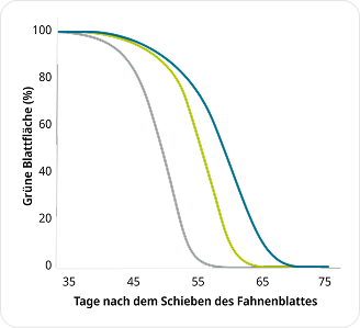 Amistar Leistung Chart Mobile