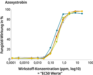 Amistar Leistung Chart Mobile
