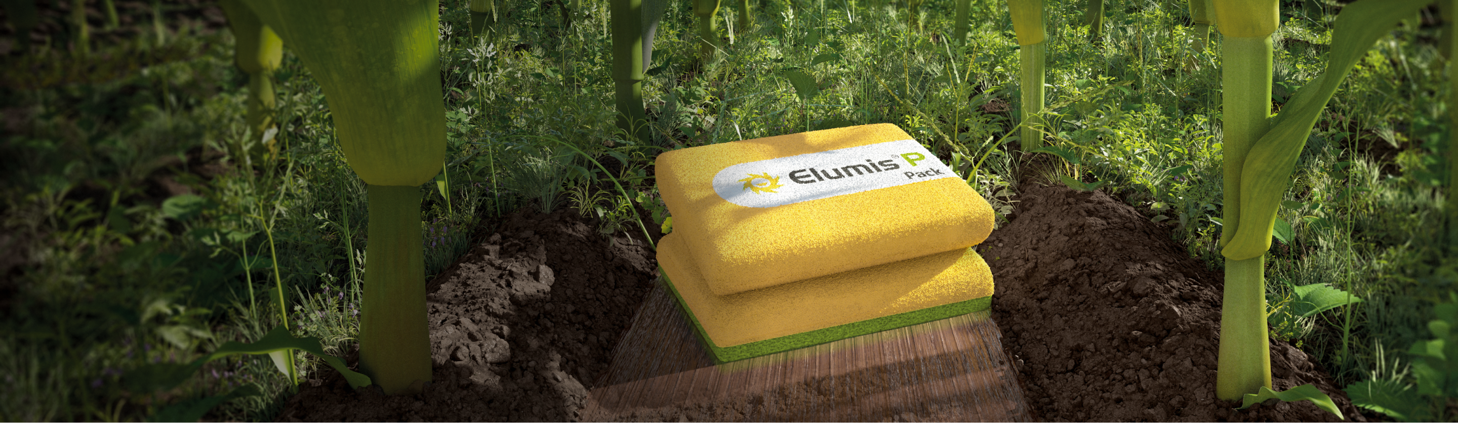 Elumis P Pack