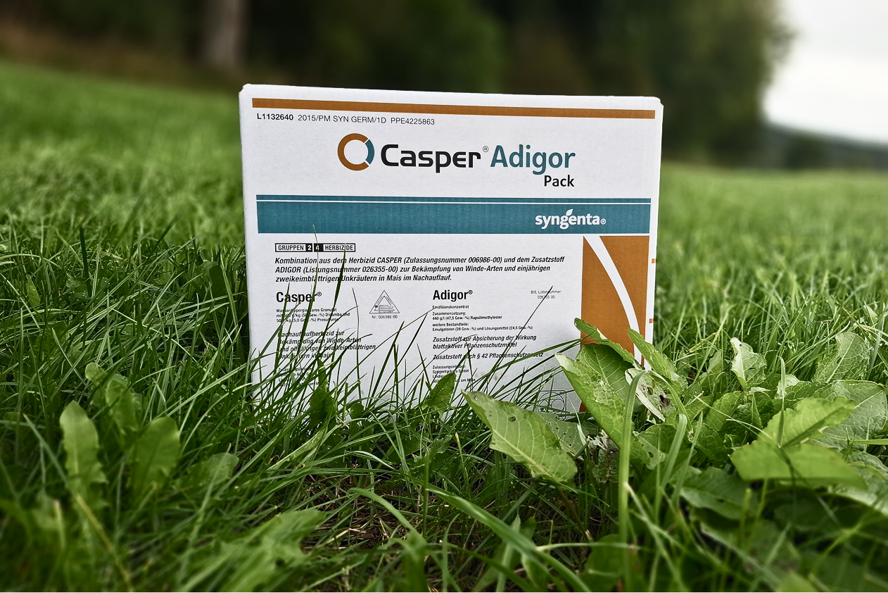 CASPER