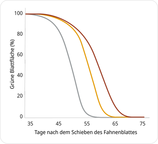 Amistar Leistung Chart Mobile