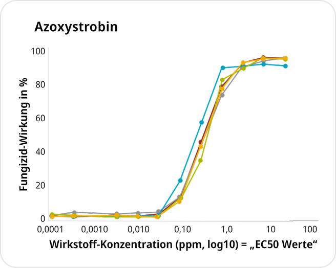 Amistar Leistung Chart Mobile