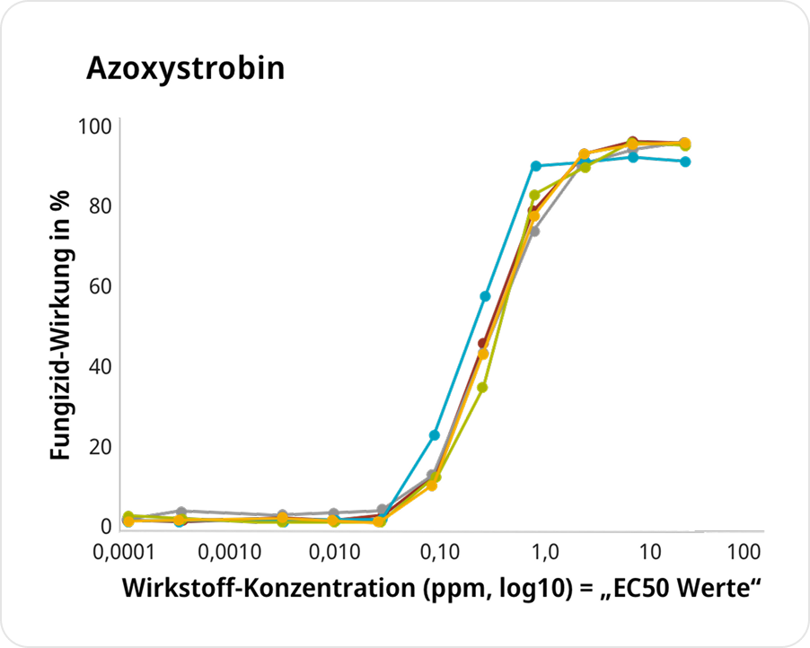 Amistar Leistung Chart