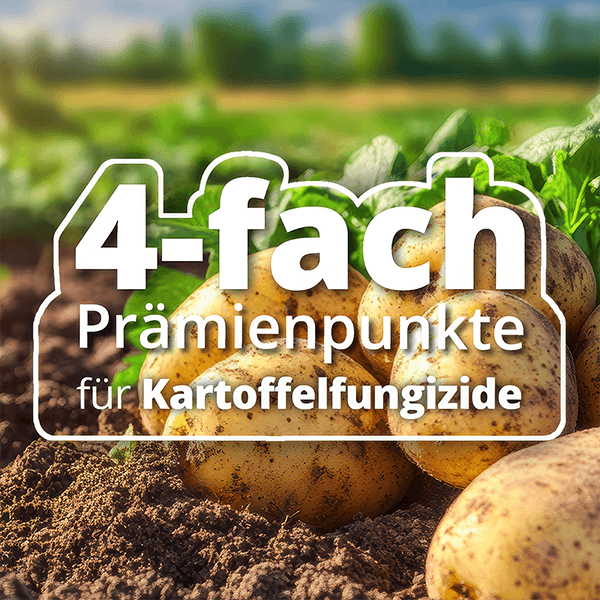 teaser-4-fach-punkte