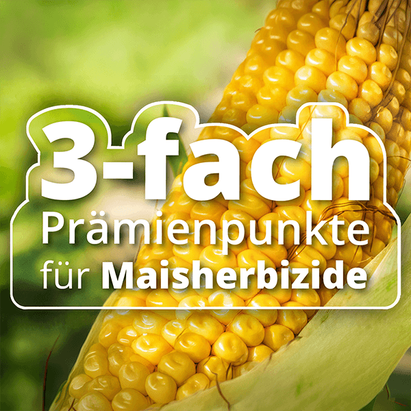 teaser-3-fach-punkte