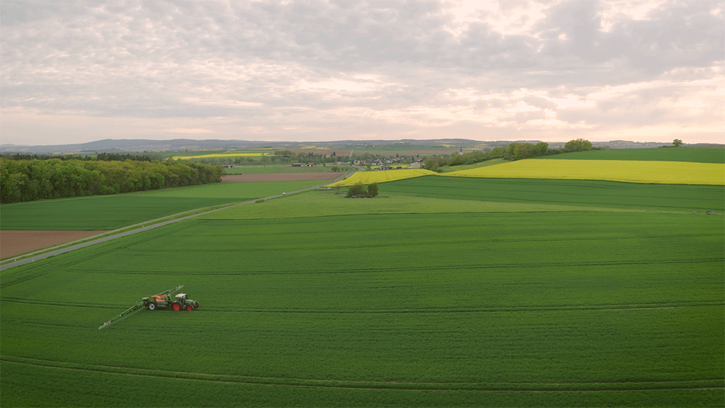 Feld-Reporte