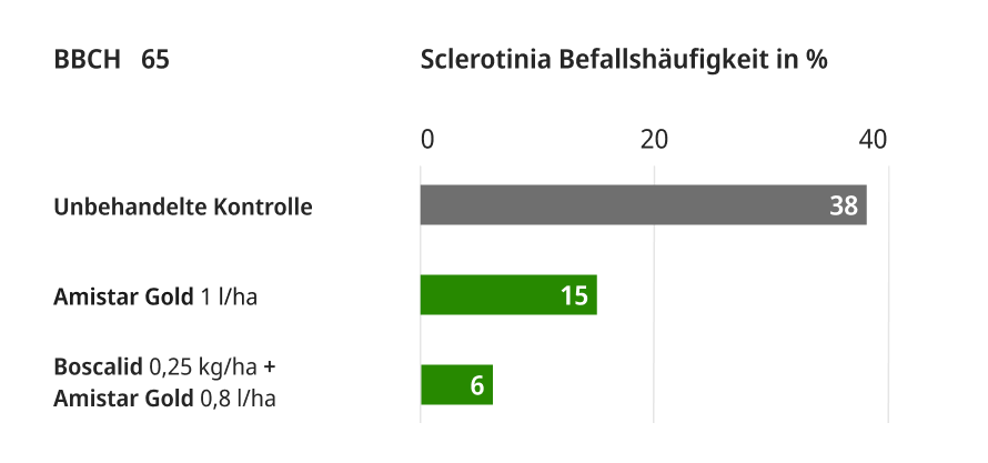 Mehrertrag durch Belspirum Gold