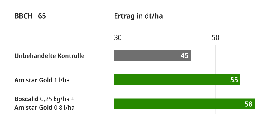 Mehrertrag durch Belspirum Gold