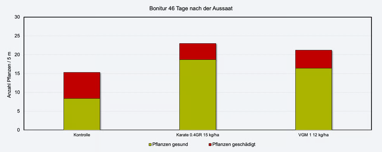 Versuchsergebnis: Wirkung unter Starkbefall