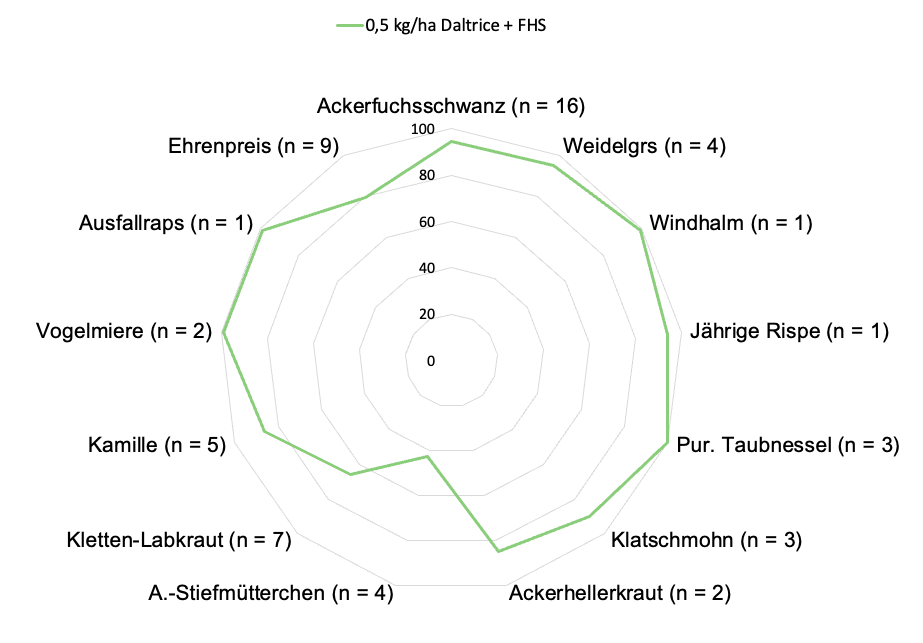 Wirkungsgrade von Daltrice gegen Ackerfuchsschwanz im Vergleich