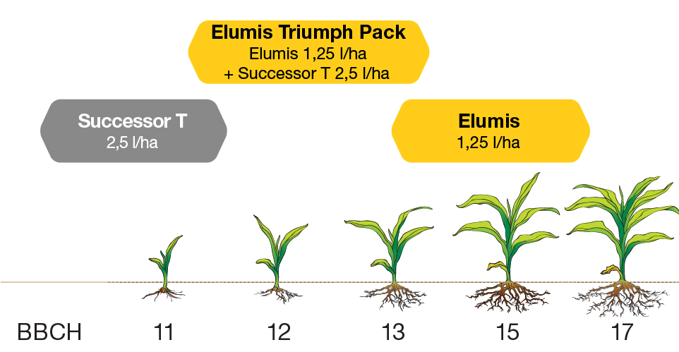 Anwendungsempfehlung Elumis Triumph Pack
