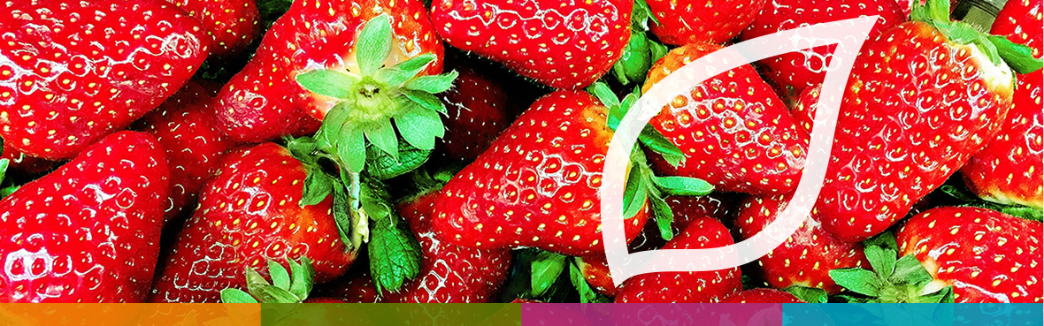 Erdbeeren