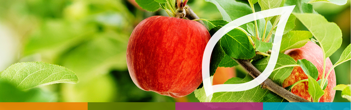Obstbau