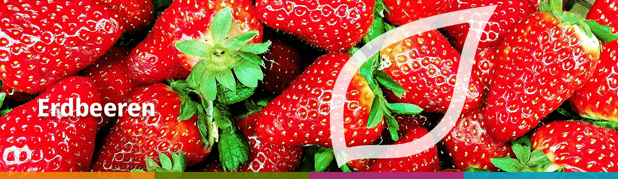 Erdbeeren