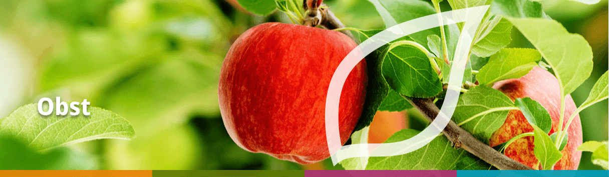 Obst