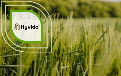 Jettoo Hybridgerste