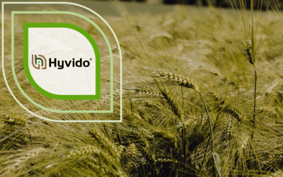 SY Baracooda Hybridgerste