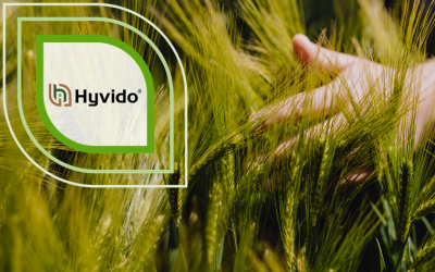SY Chevioot Hybridgerste