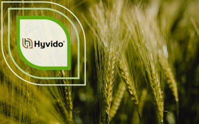 SY Colyseoo Hybridgerste