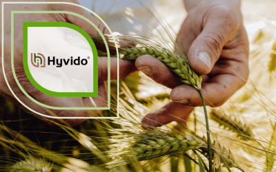 SY Galileoo Hybridgerste