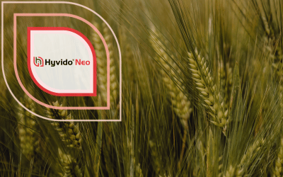 SY Kestrel Hyvido Neo