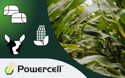 Silomais, Biogasmais & Körnermais mit Powercell