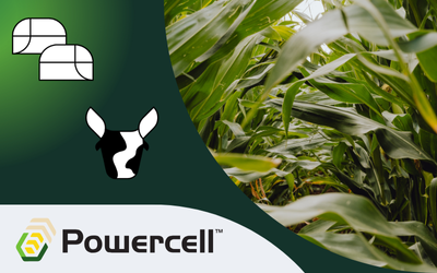 Silomais, Biogasmais mit Powercell