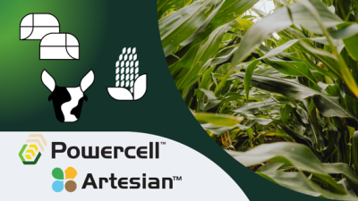 Powercell Artesian Logo auf grünem Banner, rechts Bambusblätter im Hintergrund