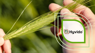 Hand hält grüne Getreideähre vor unscharfem Hintergrund, Hyvido-Logo als Grafik