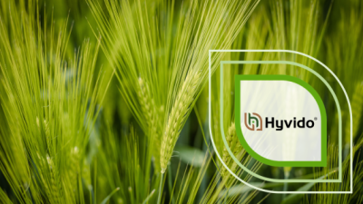 Grünes Getreidefeld mit Hyvido-Logo in weißem Quadrat rechts