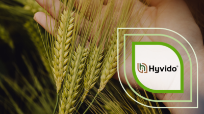 Logo „Hyvido“ über Weizenähren im Hintergrund