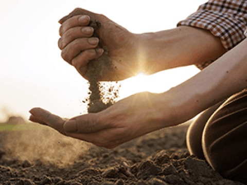 Landwirt mit Erde in den Händen