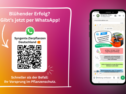 Whatsapp Zierpflanzen