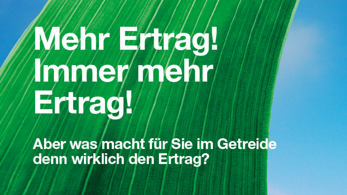 Elatus Era - Ertrag