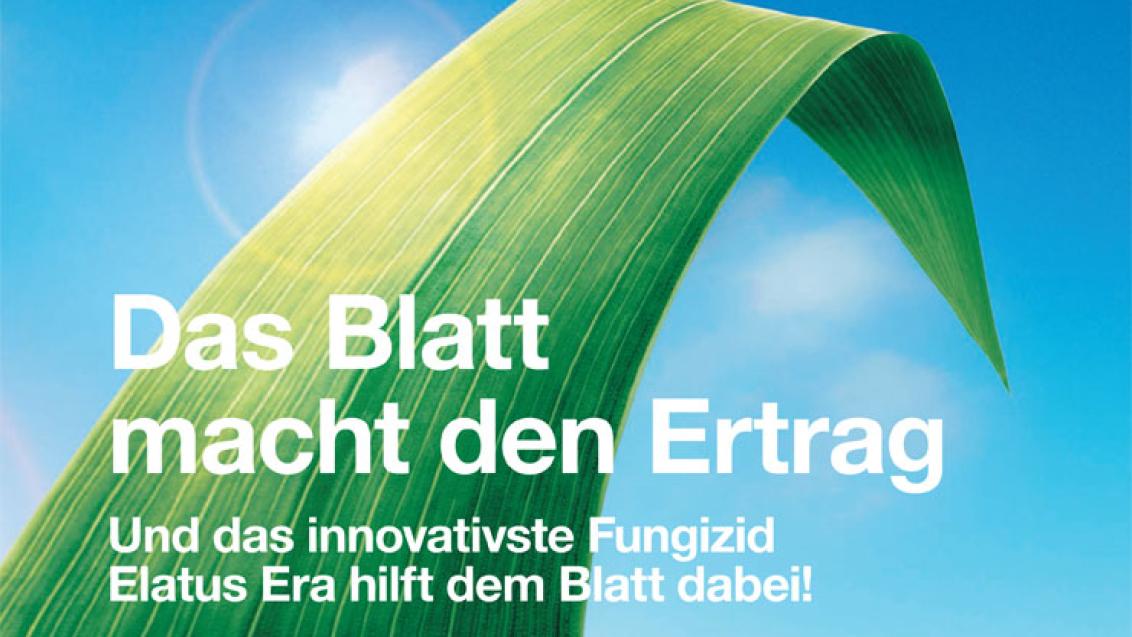 Elatus Era - Das Blatt macht den Ertrag