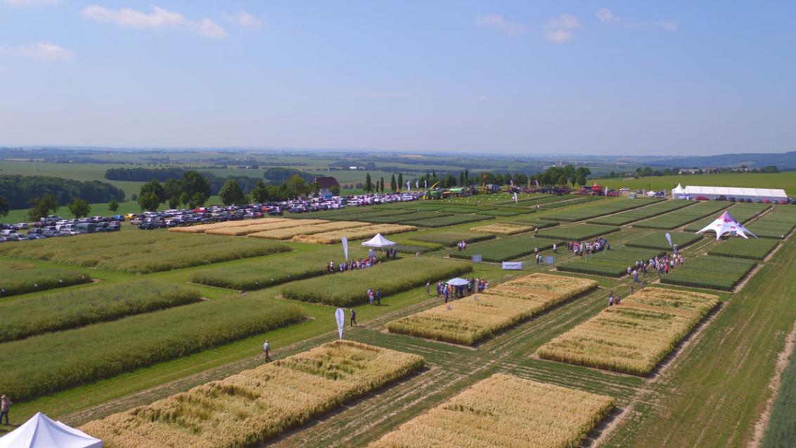 Syngenta Feldtag Methau
