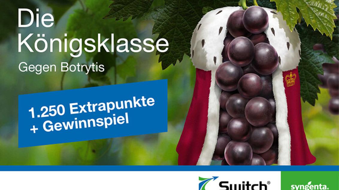 Bonusland Switch Aktion