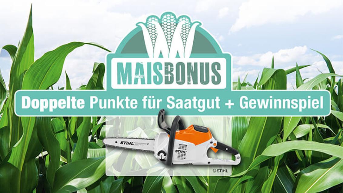 Bonusland Maisbonus