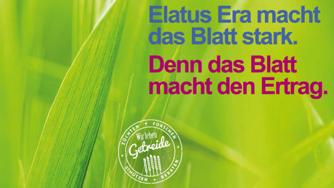 Elatus Era