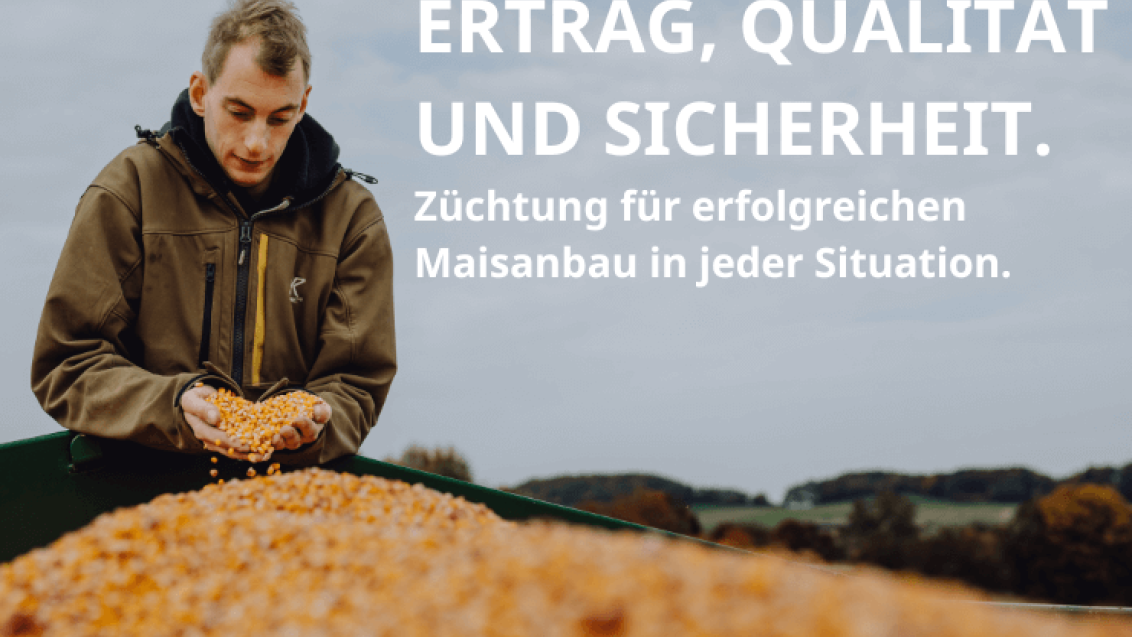Ertrag, Qualität und Sicherheit