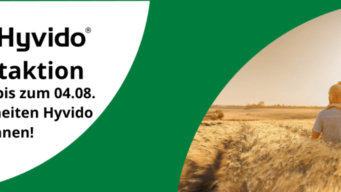 Hyvido Testaktion