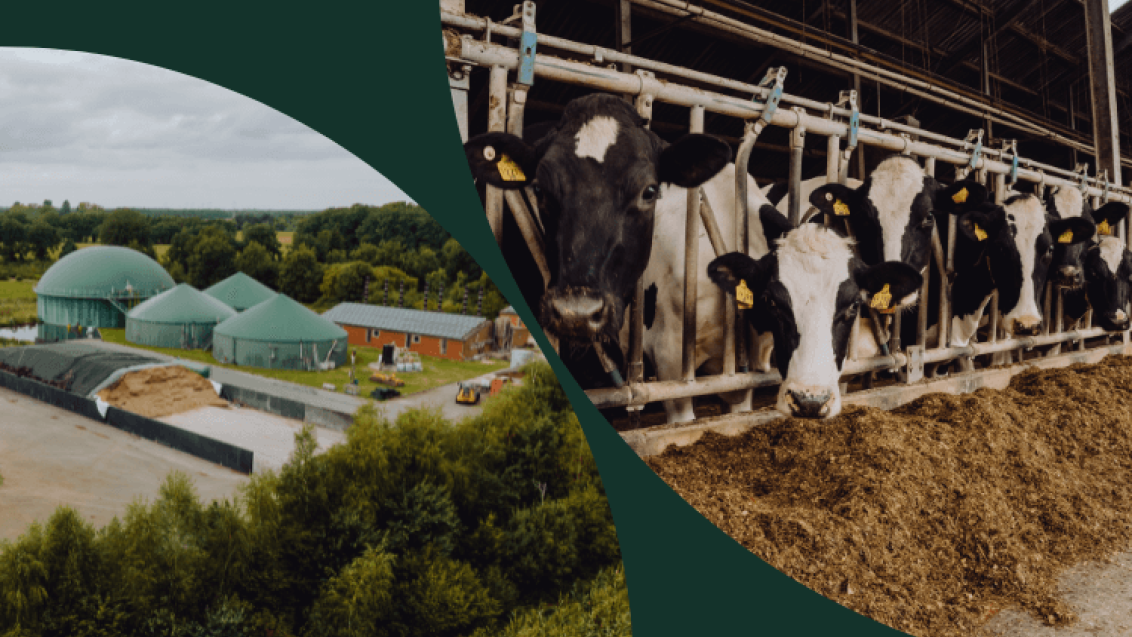 Powercell für Biogas und Fütterung