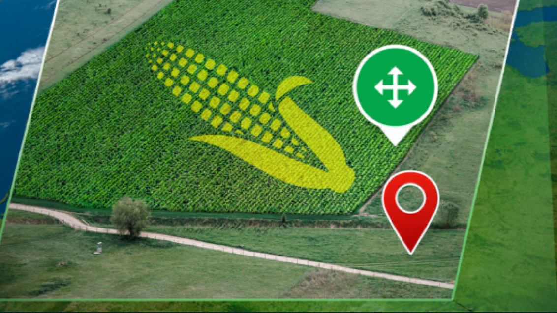 Cropwise Seed Selector
