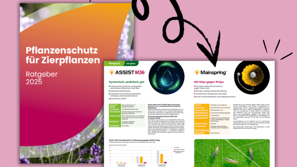 ratgeber_zierpflanzen_2025